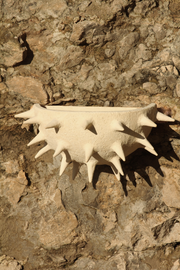 Cette applique Jupiter constituée de grès chamotte présente une texture avec des grains de sable. Chaque pièce est unique, numérotée, signée et modelée manuellement dans un grès chamotte, une argile cuite plusieurs fois entre 900 et 1400 degrés. Au cours de ce processus, l'objet devient aussi solide que la pierre. C'est par l'assemblage, le modelage, la sculpture et les différentes cuissons que l'objet se révèle.

Grâce à la céramique, Alan Louis capture l'essence particulière de l'élégance brute.